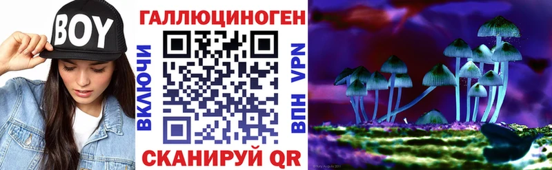 Псилоцибиновые грибы Cubensis  Купить  Туран 