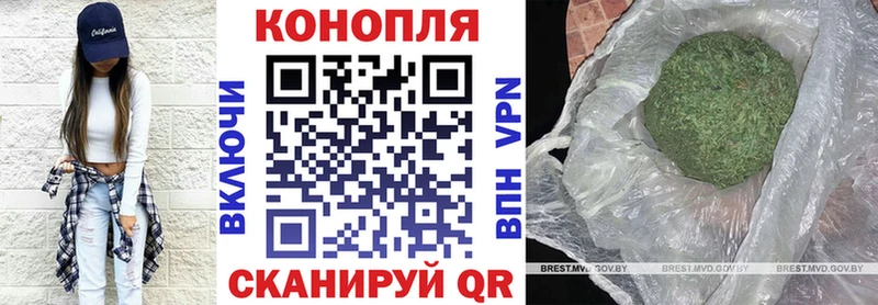 Бошки марихуана планчик  Купить где  Туран 